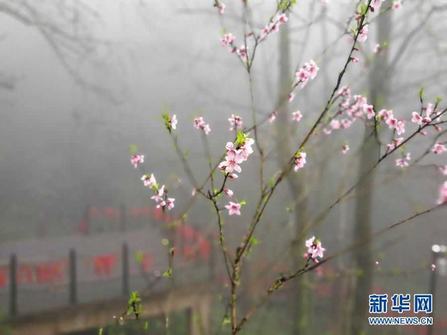 安徽：霧漫齊雲山