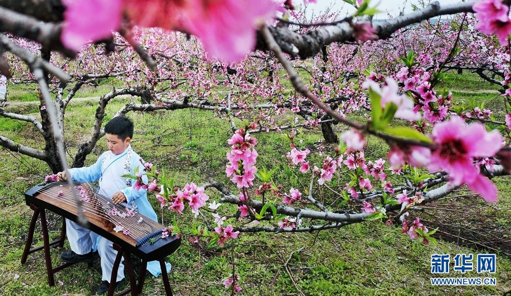 安徽尋春記：長豐四月花正好