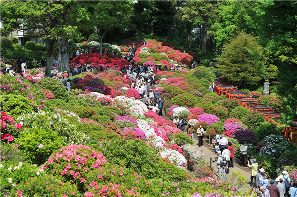 東京旅遊推薦：谷根千區域