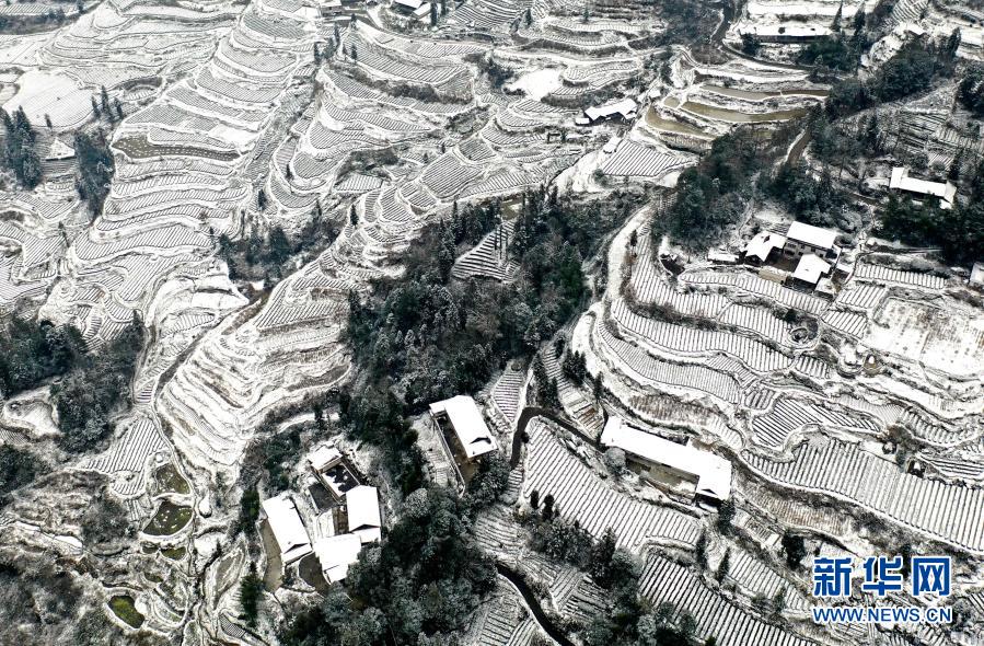 湖北恩施：雪潤茶園