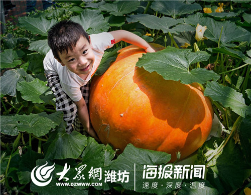 第二十屆中國（壽光）國際蔬菜科技博覽會開幕