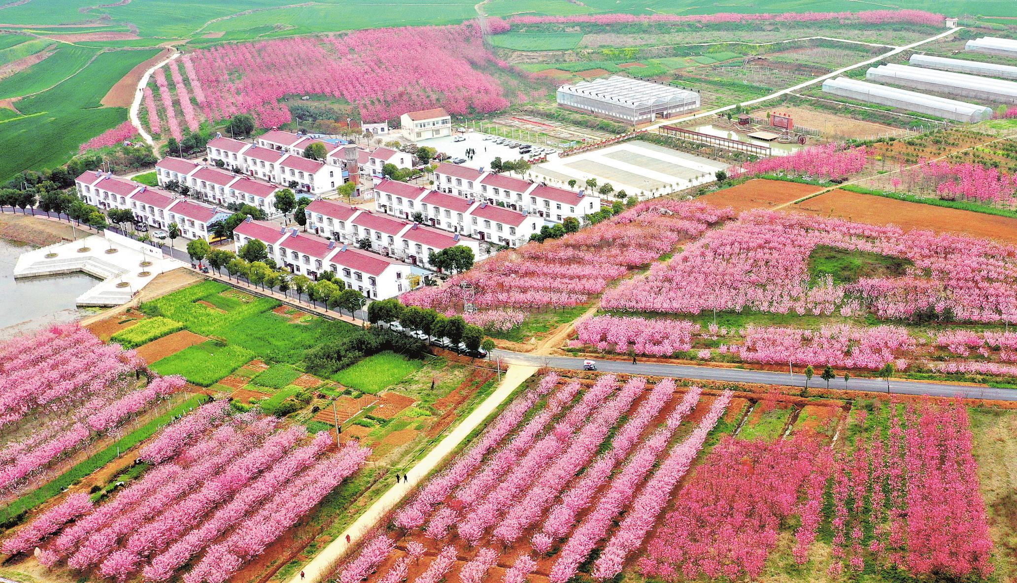 移民新村成為“詩和遠方”_fororder_53384ac0-5fbb-409d-aee7-ccd71d12d64c.tif.1