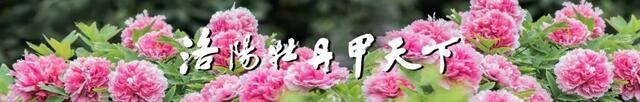 4月1日開行！洛陽這條開往春天的旅遊列車來啦！_fororder_微信圖片_20210329165555
