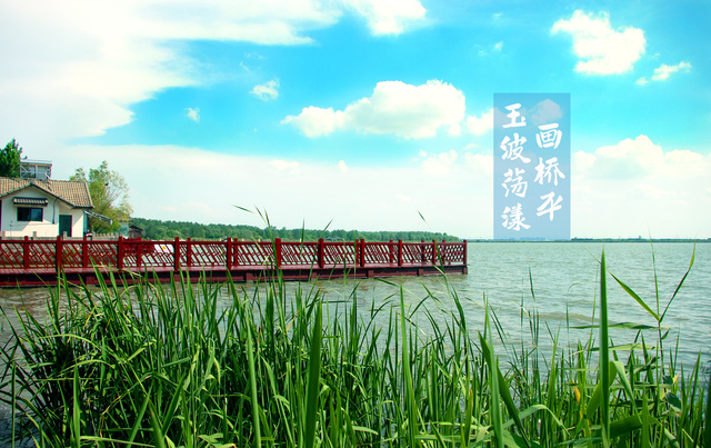 常熟高新區：遇見“暑”不盡的詩意美景