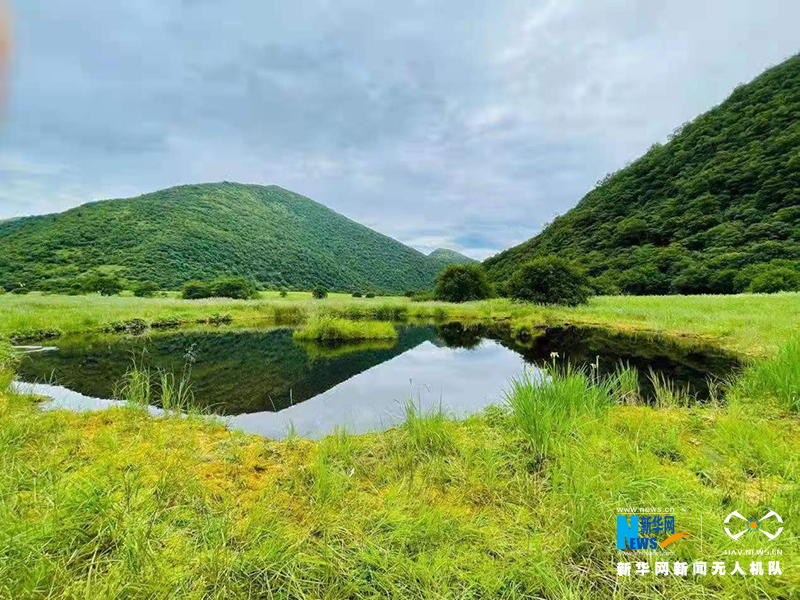 航拍重慶五里坡保護區 探索原始秘境