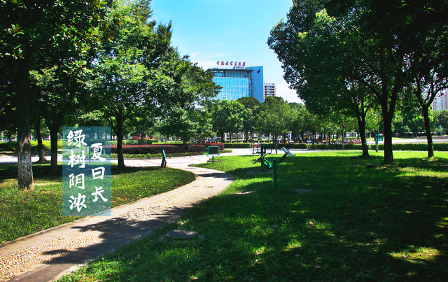 常熟高新區：遇見“暑”不盡的詩意美景