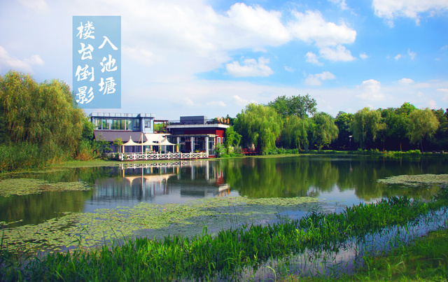 常熟高新區：遇見“暑”不盡的詩意美景