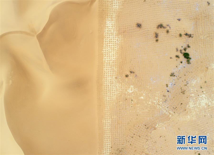 寧夏中衛：草方格扎出的沙漠綠意