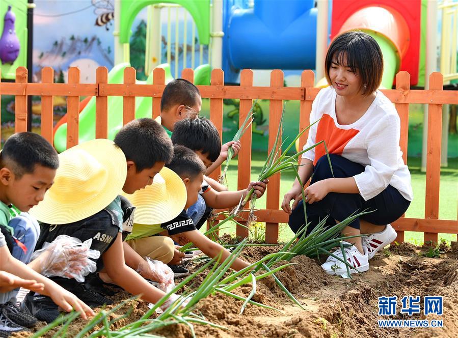 河北樂亭：農耕教育進校園