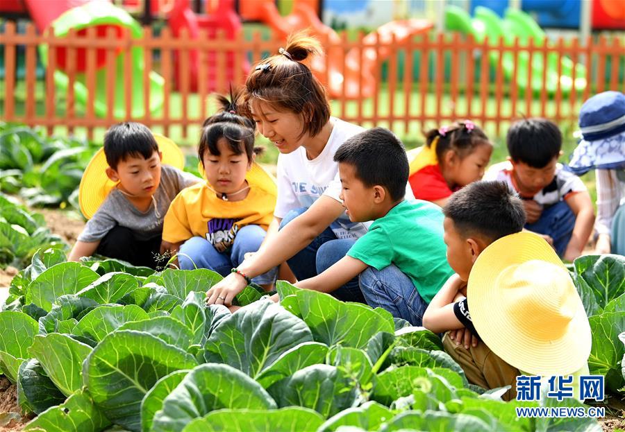 河北樂亭：農耕教育進校園