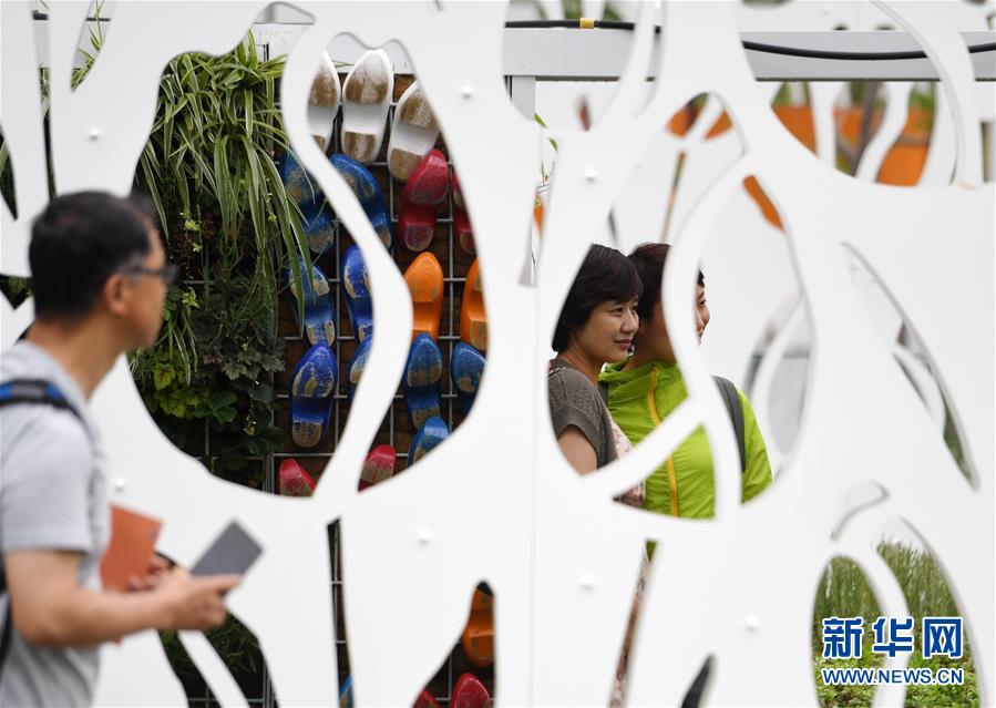 北京世園會迎來“荷蘭國家日”
