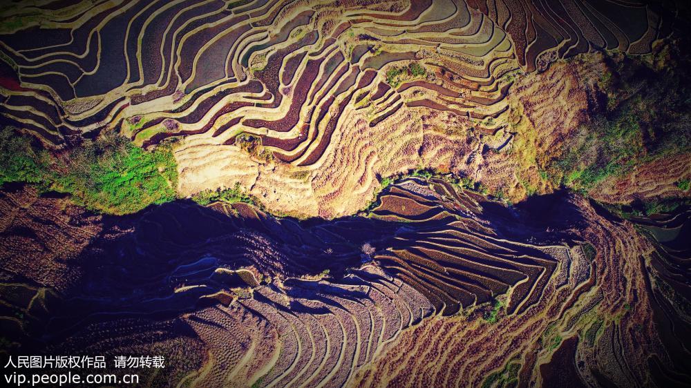雲南元陽梯田：眼前的世外桃源