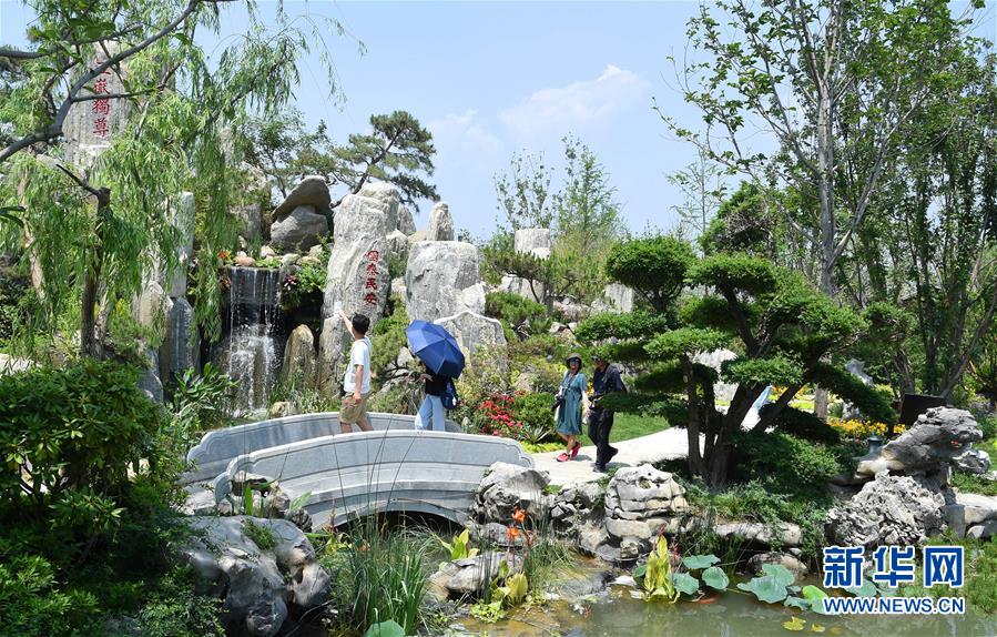 北京世園會迎來“山東日”