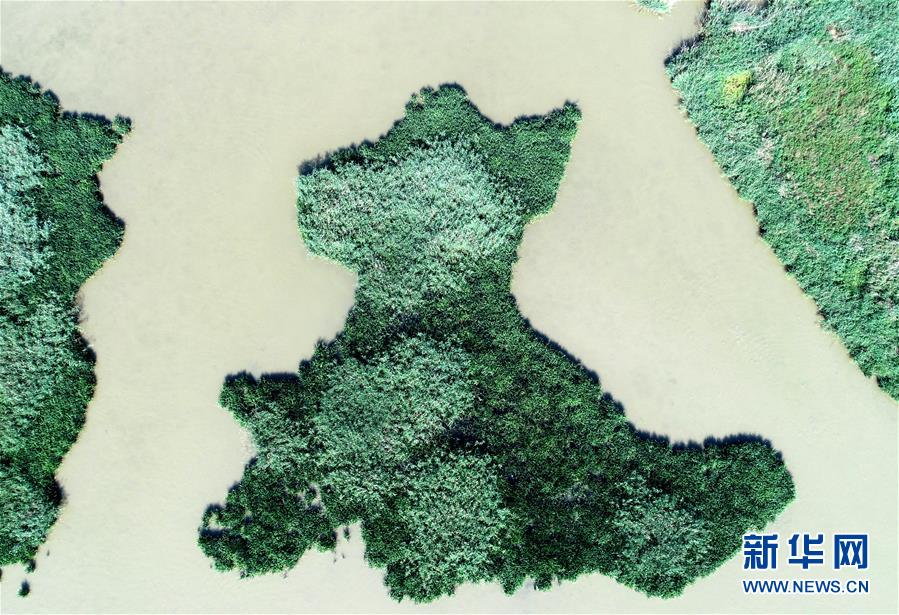 天津：七里海濕地上的畫卷