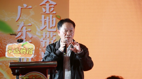 客都橙光閃耀珠江！平遠臍橙登陸大灣區
