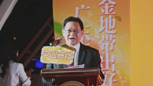 客都橙光閃耀珠江！平遠臍橙登陸大灣區
