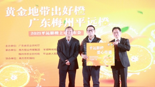 客都橙光閃耀珠江！平遠臍橙登陸大灣區