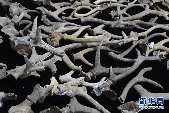 浙江余姚發現早于河姆渡文化1000年的史前遺址