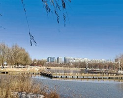 生態産業數字化來了