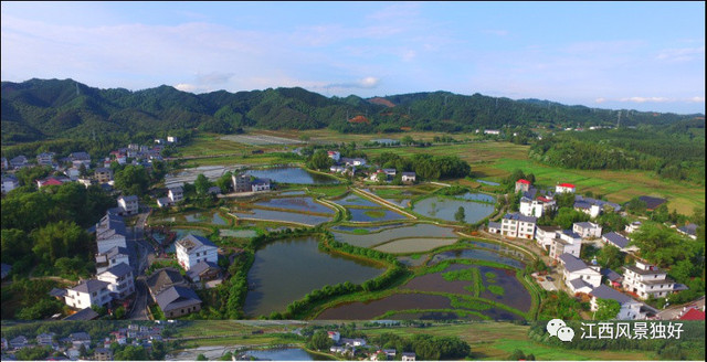 朱虹：宜豐——禪風竹韻 康養福地