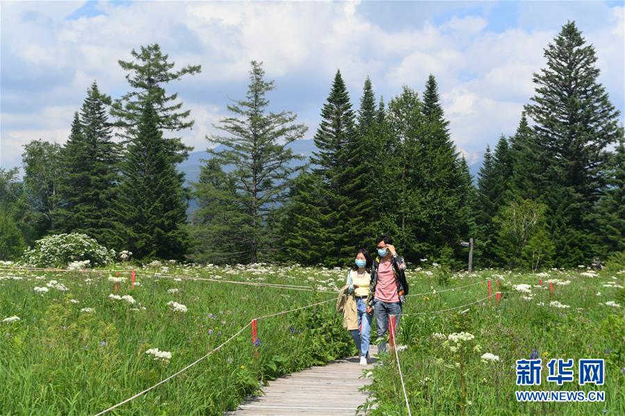 長白山：高山花海