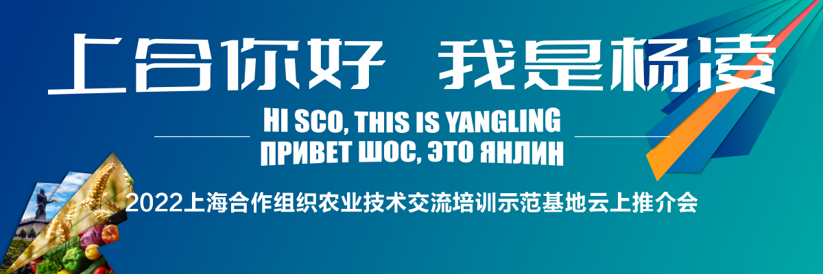 頭圖_fororder_微信圖片_20220614173721