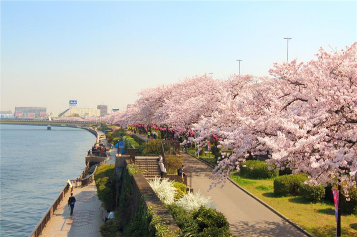 【東京旅遊】2020年東京新景點遊覽全攻略