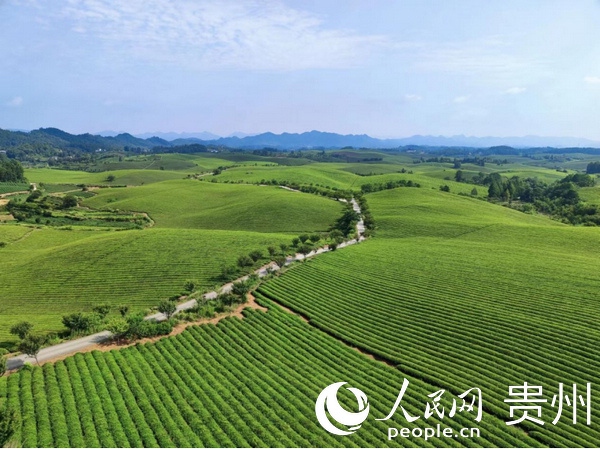 遵義旅遊：逐夢未來  向“新”而行