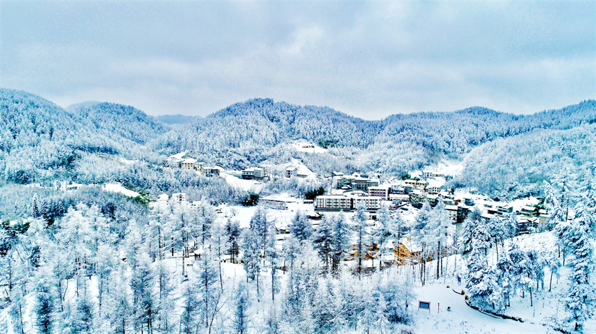 湖北建始：初雪落山鄉 林海穿“銀裝”_fororder_1