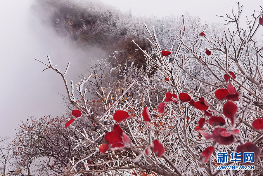 雪落三峽 山河如畫