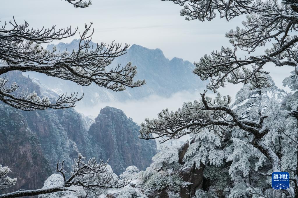 安徽黃山初春現霧凇美景