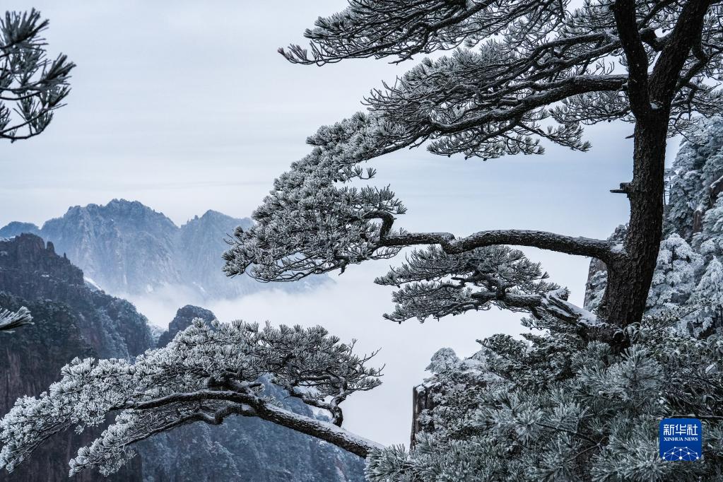 安徽黃山初春現霧凇美景
