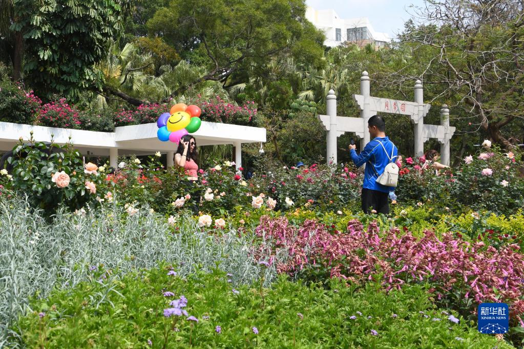 2023深圳月季花展開幕