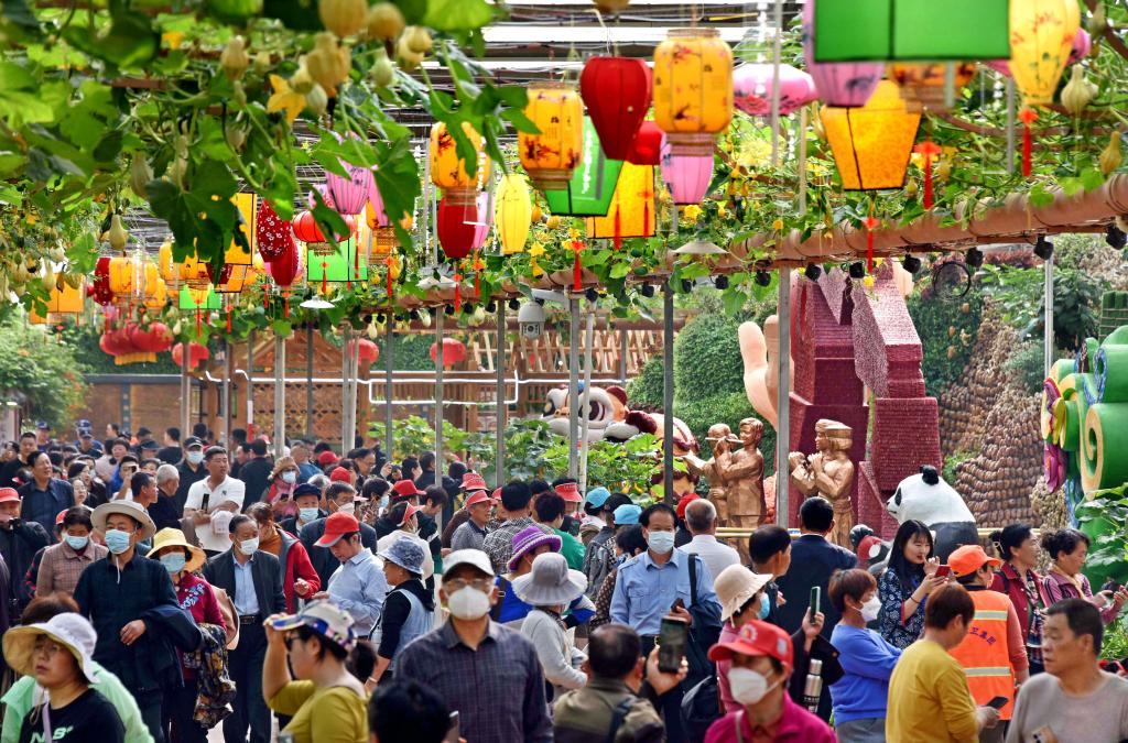 “菜籃子”裏的科技密碼——第24屆壽光菜博會觀察
