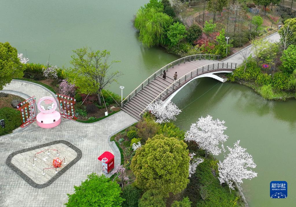 浙江寧波：植物園春花爛漫