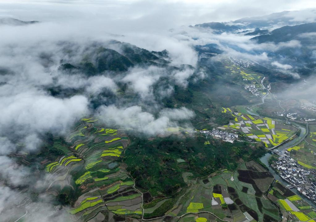 安徽黃山：雨後古村春色美