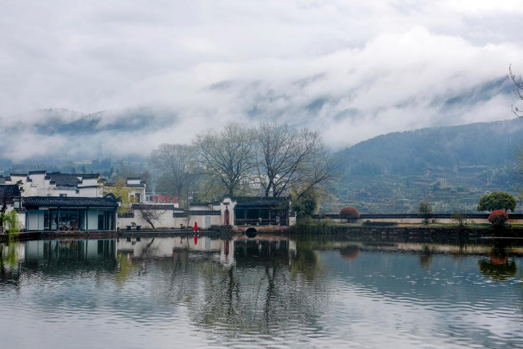 安徽黃山：雨後古村春色美