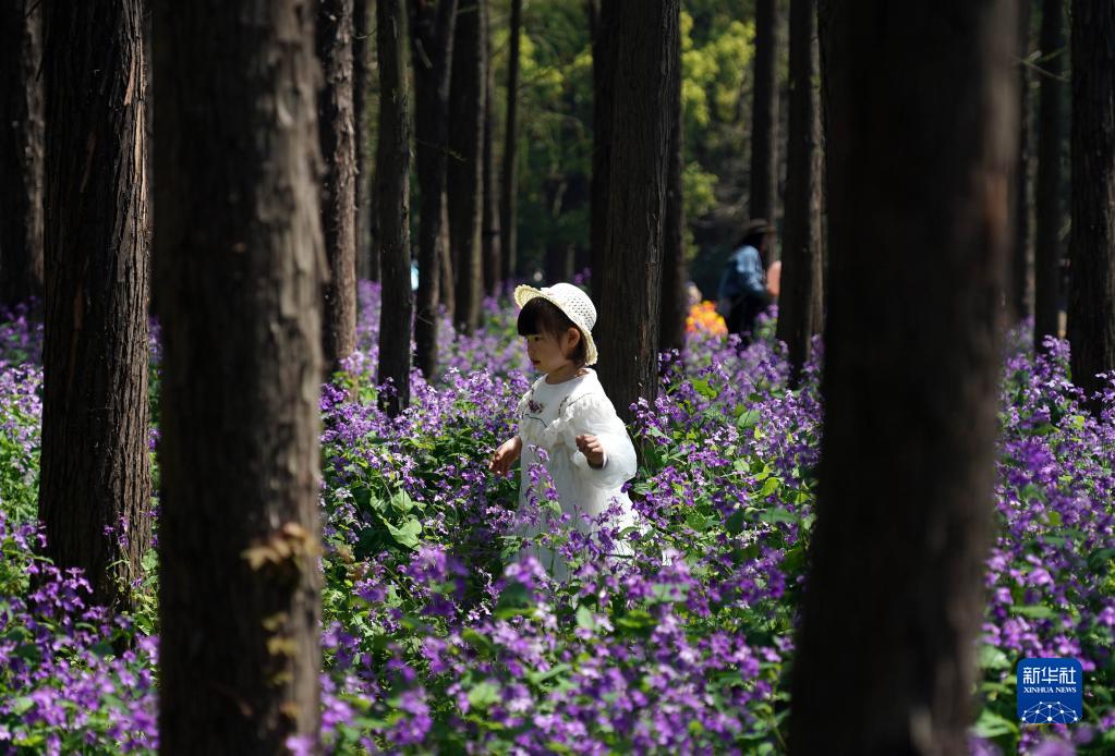 上海：賞百花 享春光