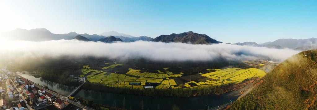 安徽石臺：畫裏山鄉迎客 火了農産品富了鄉親