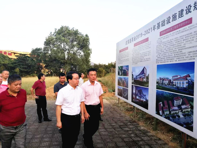 福建省知識産權局局長顏志煌一行赴武夷山市開展地理標誌專項整治工作
