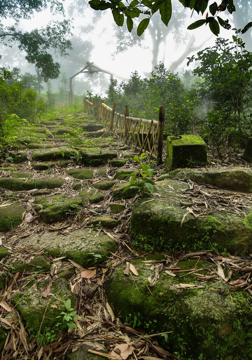 一山一葉鑄傳奇——探秘全球首個茶主題世界文化遺産