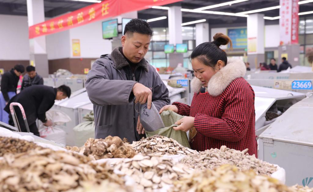 安徽亳州：一杯花草茶“泡”出百億産業