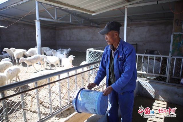 陜西神木：就業扶貧拔“窮根”