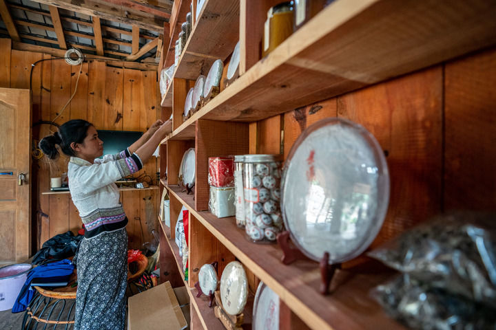 一山一葉鑄傳奇——探秘全球首個茶主題世界文化遺産
