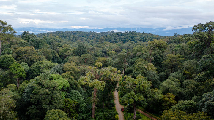 一山一葉鑄傳奇——探秘全球首個茶主題世界文化遺産