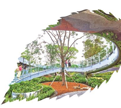 “上海大花園”揭開面紗