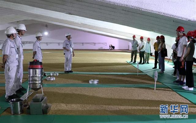 “大國糧倉”公眾開放日活動在廣州舉行
