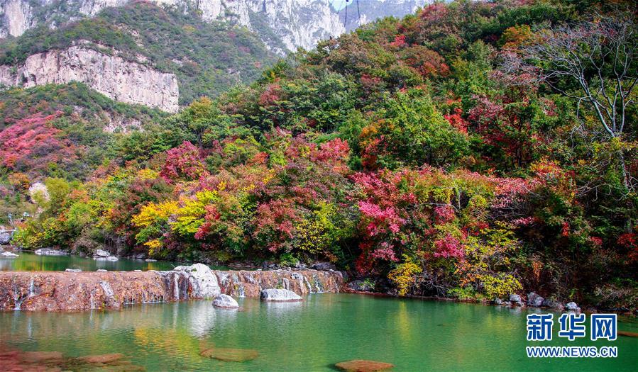 雲臺山秋色美