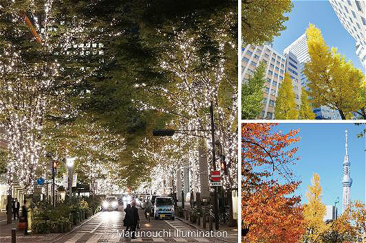 （在文中作了修改）【東京旅遊】因秋增色 秋日東京活動異彩紛呈