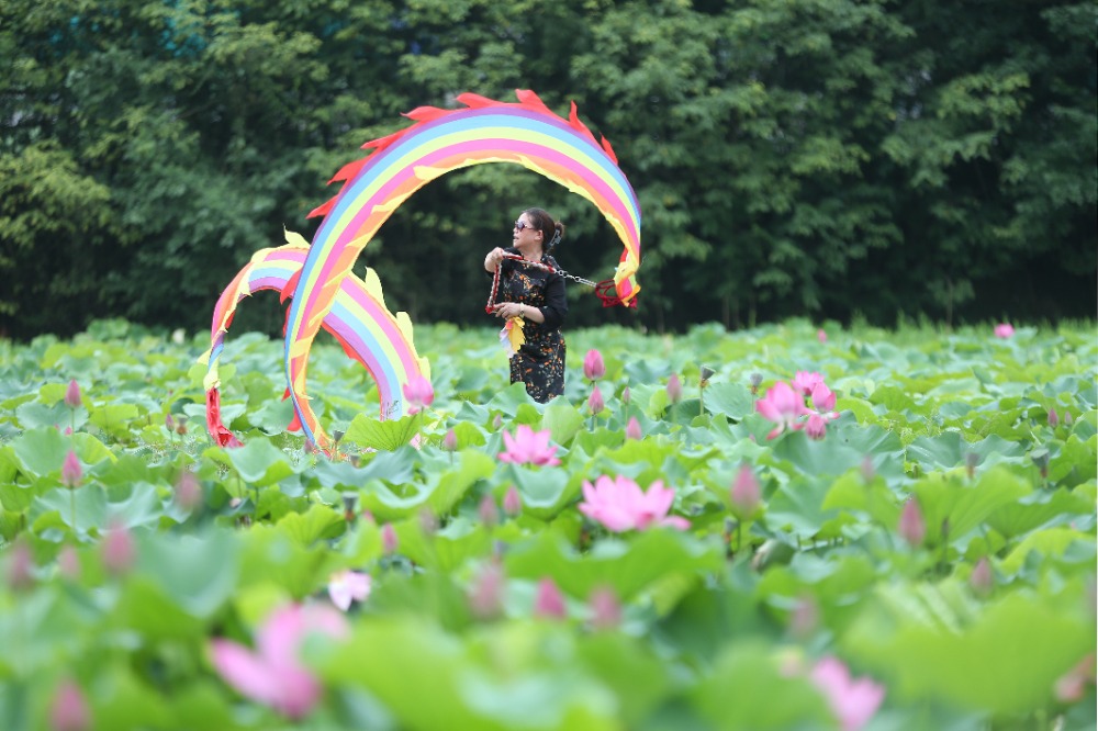重慶：3000畝荷花綻放 “花經濟”助力鄉村遊